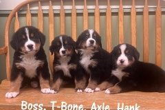 Boys-6wk