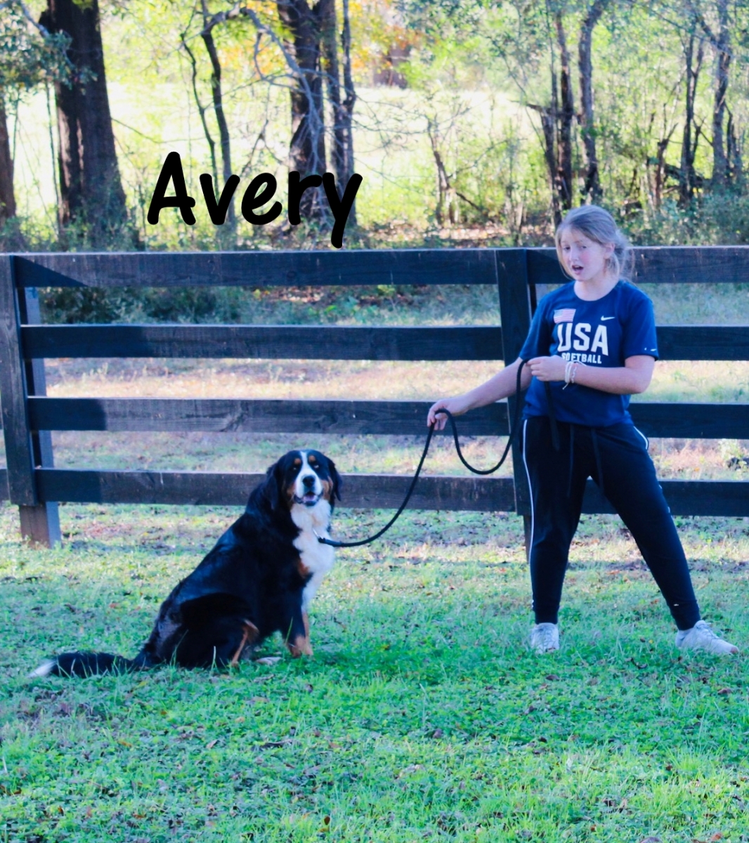 Avery-N2021