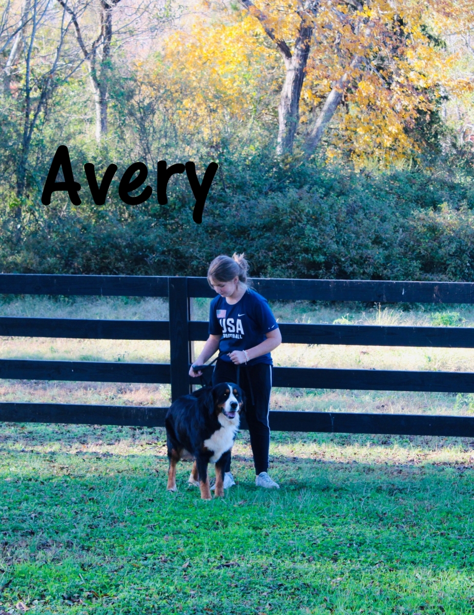 Avery-N20211