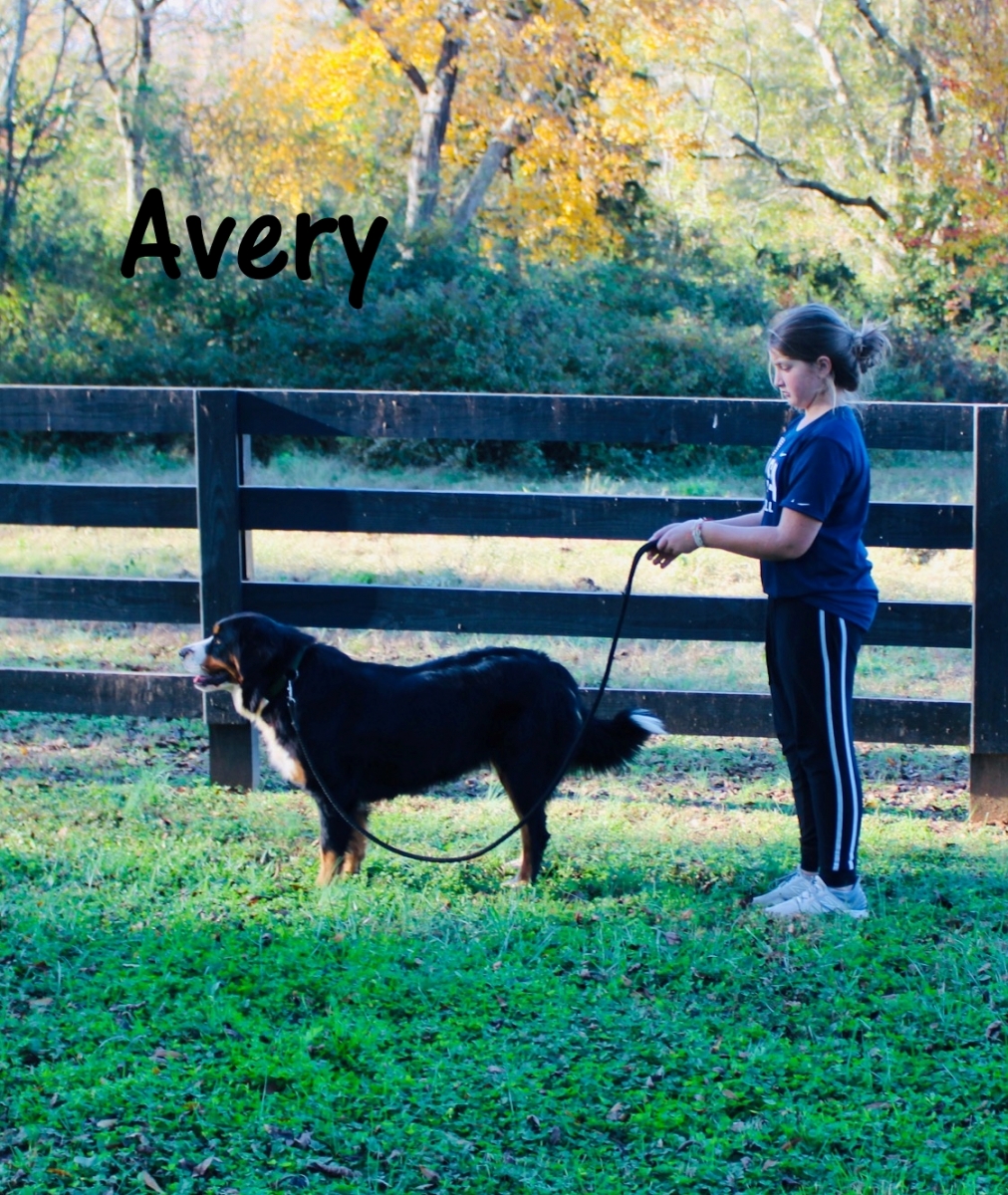 Avery-No2021