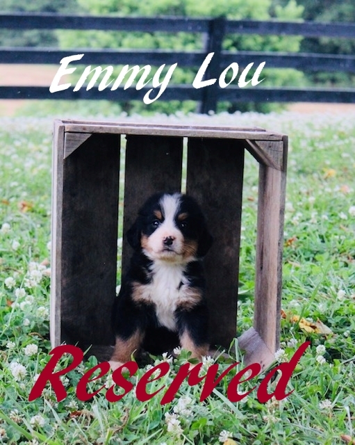 1_F-Emmy-Lou-5wks