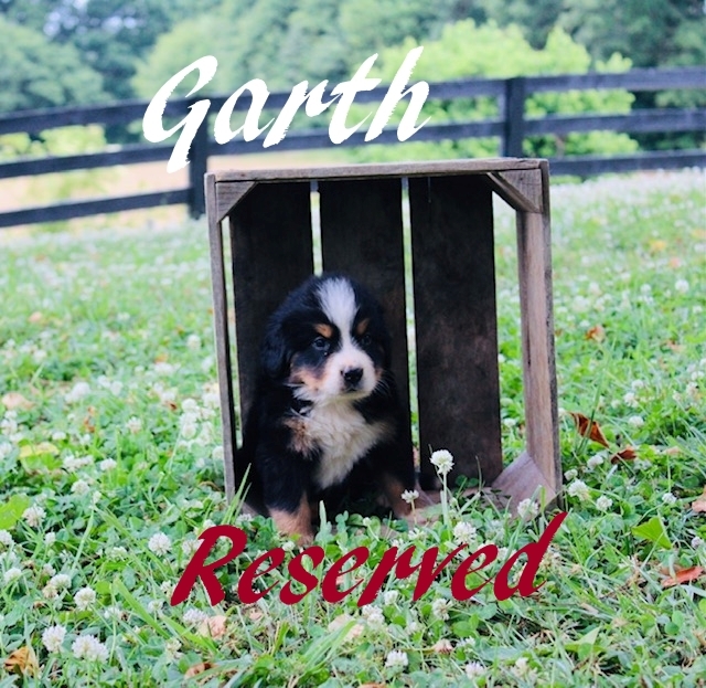 1_Garth-5wks