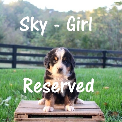 1_Sky-Girl-5