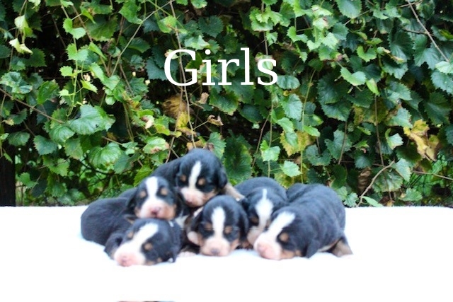 Girls