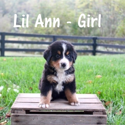 Little-Ann-Girl-5wk