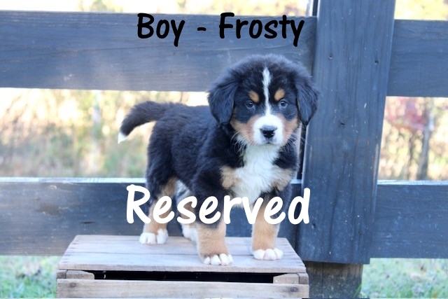 1_Boy-Frosted-Flake-wk-7