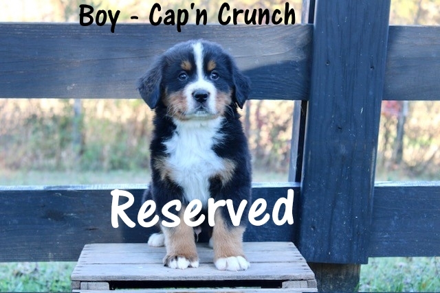 Boy-Capt.-Crunch-wk-7